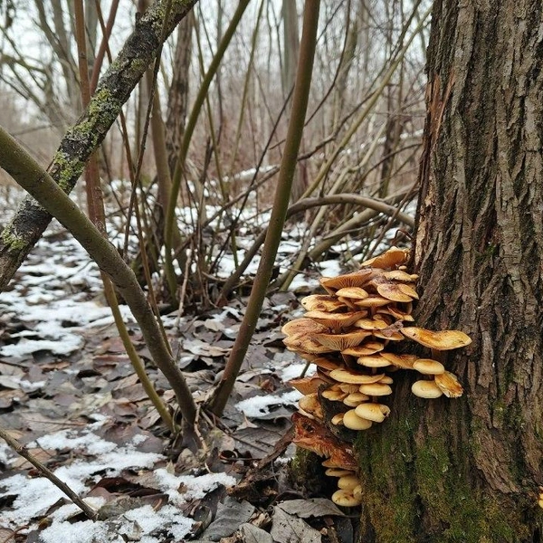 Источник:  Павел Глазков/ «Каждой твари по паре» 