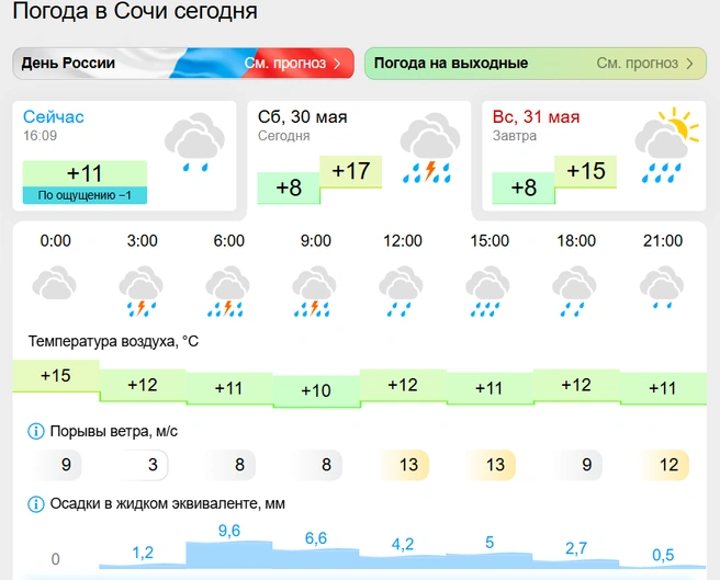 В Сочи неожиданно вернулась зима | Источник: gismeteo.ru