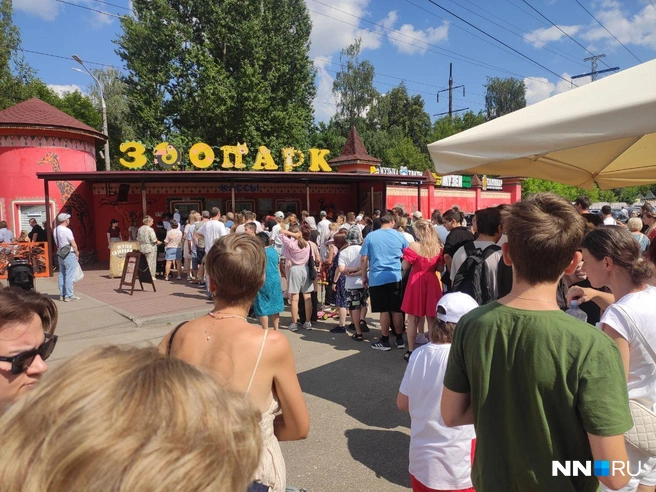 Нижегородцы выстроились в большую очередь к кассам зоопарка | Источник: читатель NN.RU