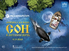 Славянский колорит и сила воды: в «Москвариуме» на ВДНХ прошел специальный показ мюзикла «Сон в летнюю ночь»