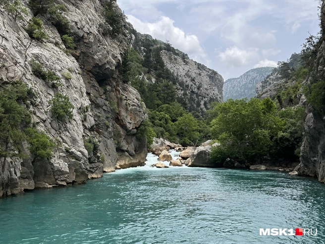 Источник: Виктория Чулюкина / MSK1.RU