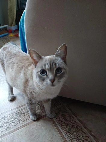 Источник: предоставлено Татьяной