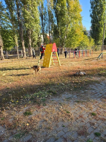 Площадка перед школой № 88 в городе-миллионнике Воронеже. | Источник: Читатель Voronezh1.ru