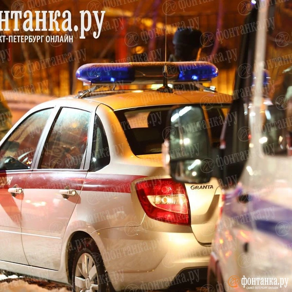 Источник: Дарья Драй / «Фонтанка.ру»