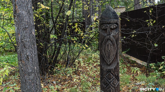А в леске у залива есть заброшенная турбаза | Источник: Кирилл Фалеев / «ИрСити»