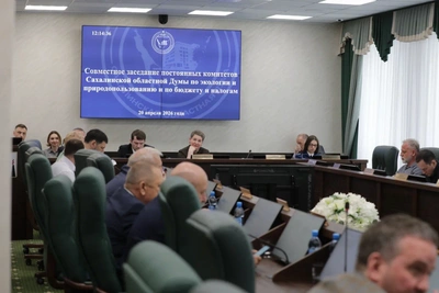 В лесном хозяйстве Сахалина выявлены нарушения по БПЛА и выплатам