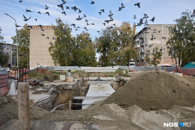 В домах вокруг разрытия на Петропавловской и Степной тоже нет отопления  | Источник: Александр Ощепков / NGS.RU