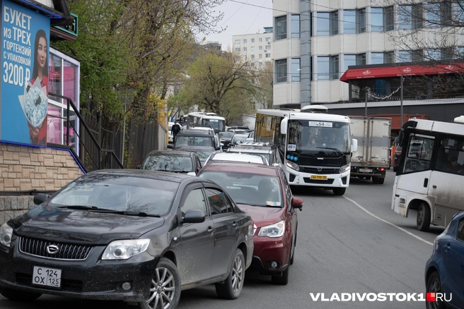 Источник: Елена Буйвол / VLADIVOSTOK1.RU