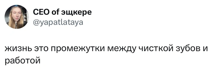 Источник: X (Twitter)