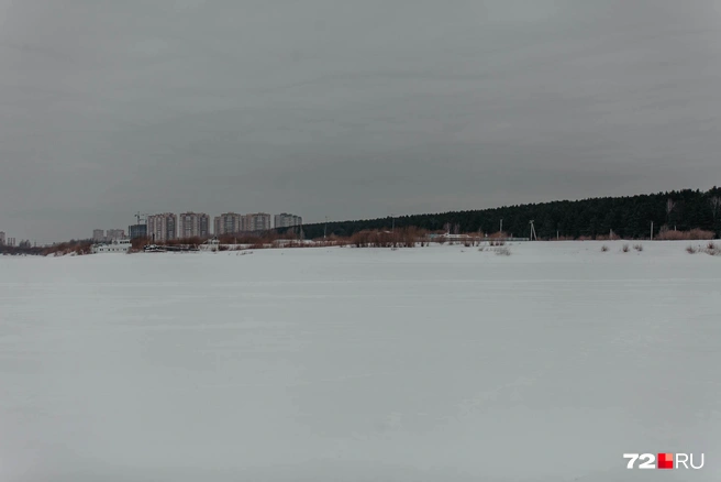 Свернув налево, я попала на озеро Круглое. На заднем плане — Гагаринский парк и ЖК «Горизонт» | Источник: Ирина Шарова