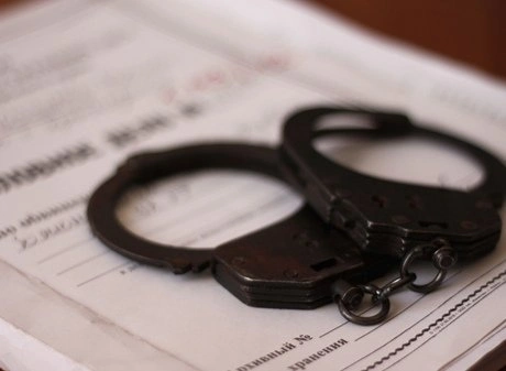 В Новосибирске завели уголовное дело после убийства котенка | ya62.ru