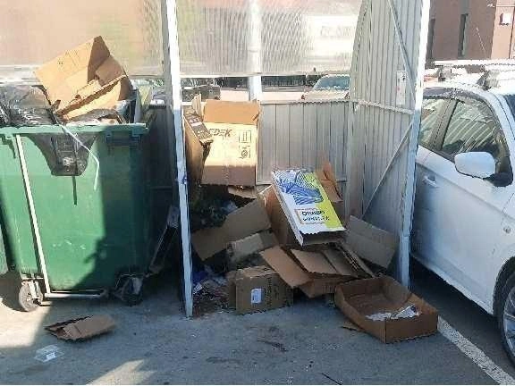 Тут картона сравнительно немного, но он занимает весь отсек для крупногабаритного мусора на площадке по Краснолесья | Источник: читатель E1.RU