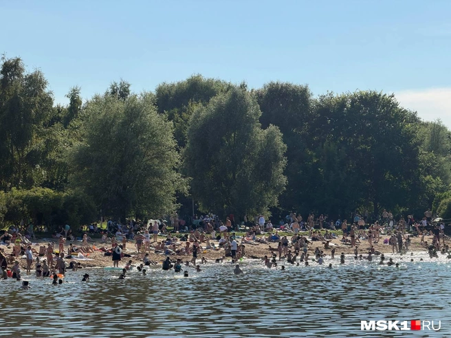 Москвичи заполнили пляж у Терлецкого пруда | Источник: Вера Борисова / MSK1.RU