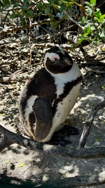 Источник: Евгения Дегтянникова