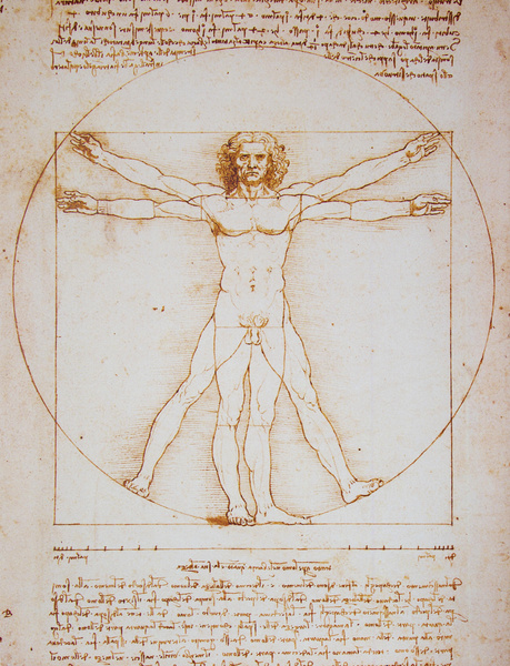 Мера всех вещей: 13 деталей «Витрувианского человека» Леонардо да Винчи