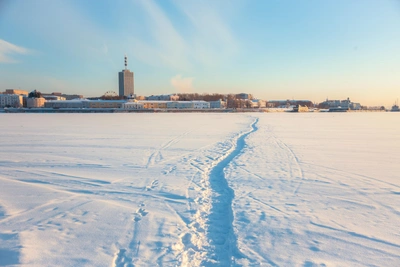 Погода в Архангельской области на среду 18 февраля