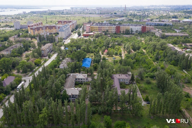 Внутри всё зелено | Источник: Павел Мирошкин