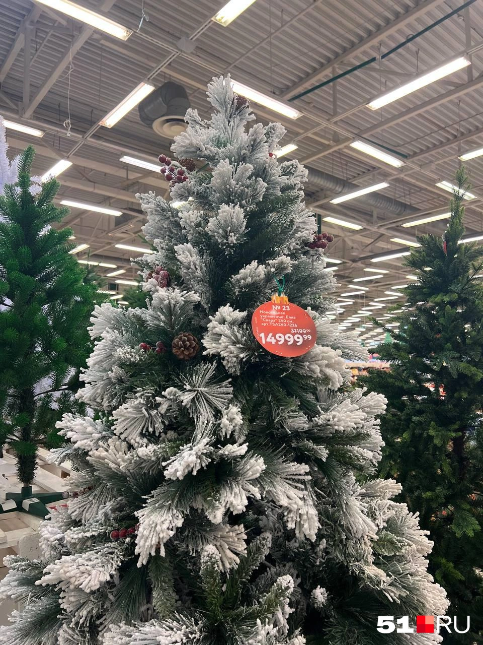 Источник: Александра Балаба