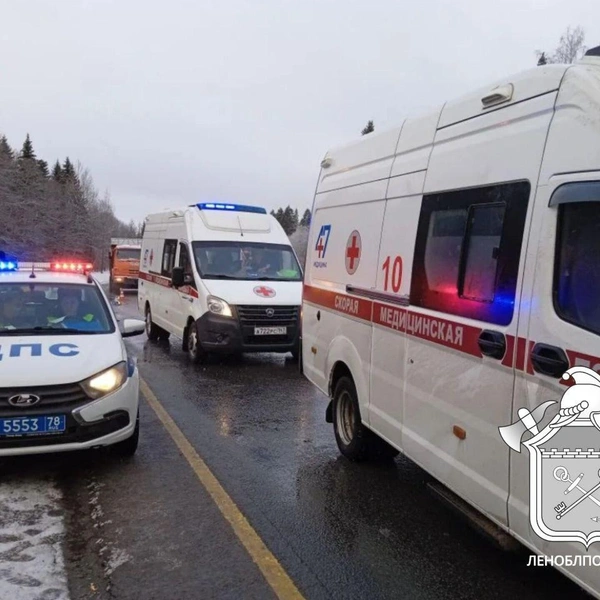 Последствия ДТП с автобусом и такси в Волосовском районе Ленобласти | Источник: ЛЕНОБЛПОЖСПАС
