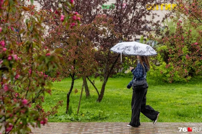 В Ярославской области похолодает | Источник: Кирилл Поверинов / 76.RU