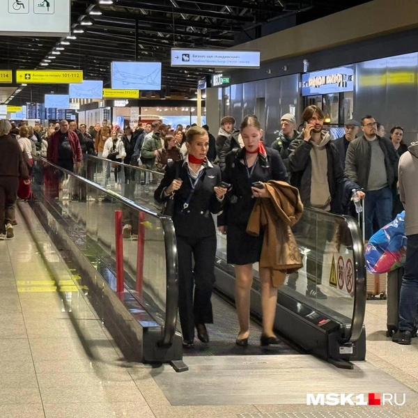 Источник: Читатель MSK1.RU