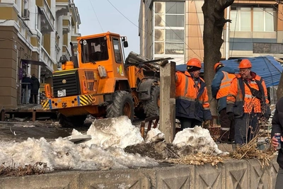 Экскаваторы сносят цветочный магазин и кафе на Луговой во Владивостоке