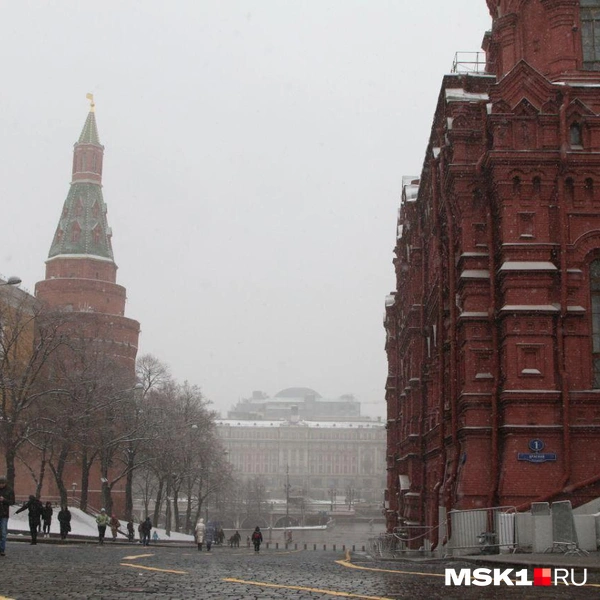 Источник: Татьяна Спиридонова / MSK1.RU