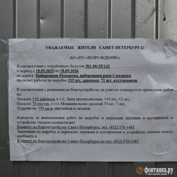 Источник: Андрей Бок / «Фонтанка.ру»