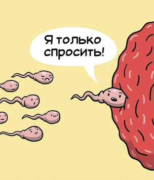 Самые смешные картинки 2022 года: весна
