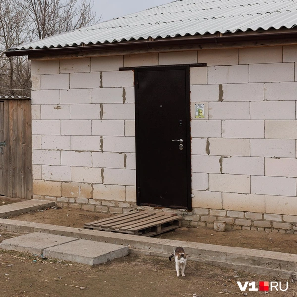 На входе в дом&nbsp;— табличка «Здесь рады собачкам» | Источник: Алексей Волхонский / V1.RU