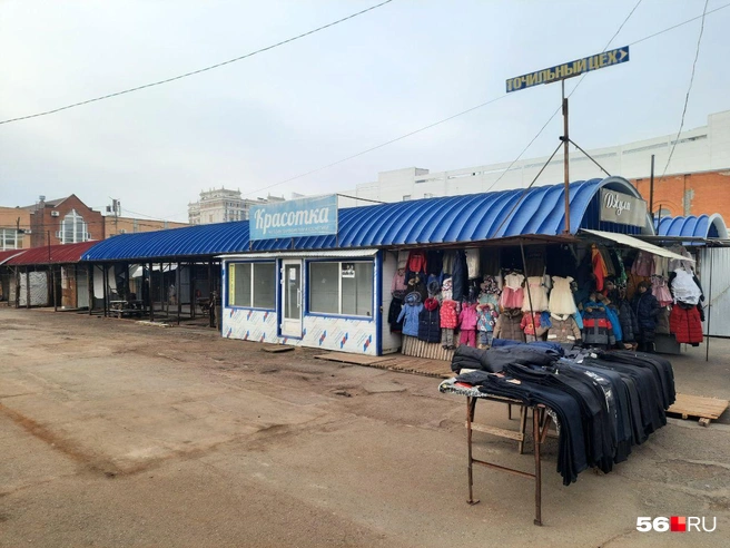 Источник: Анастасия Баринова / 56.RU