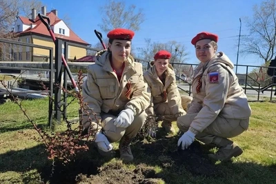 Акция «Сад памяти» в Балтийске: высадка у крепости Пиллау