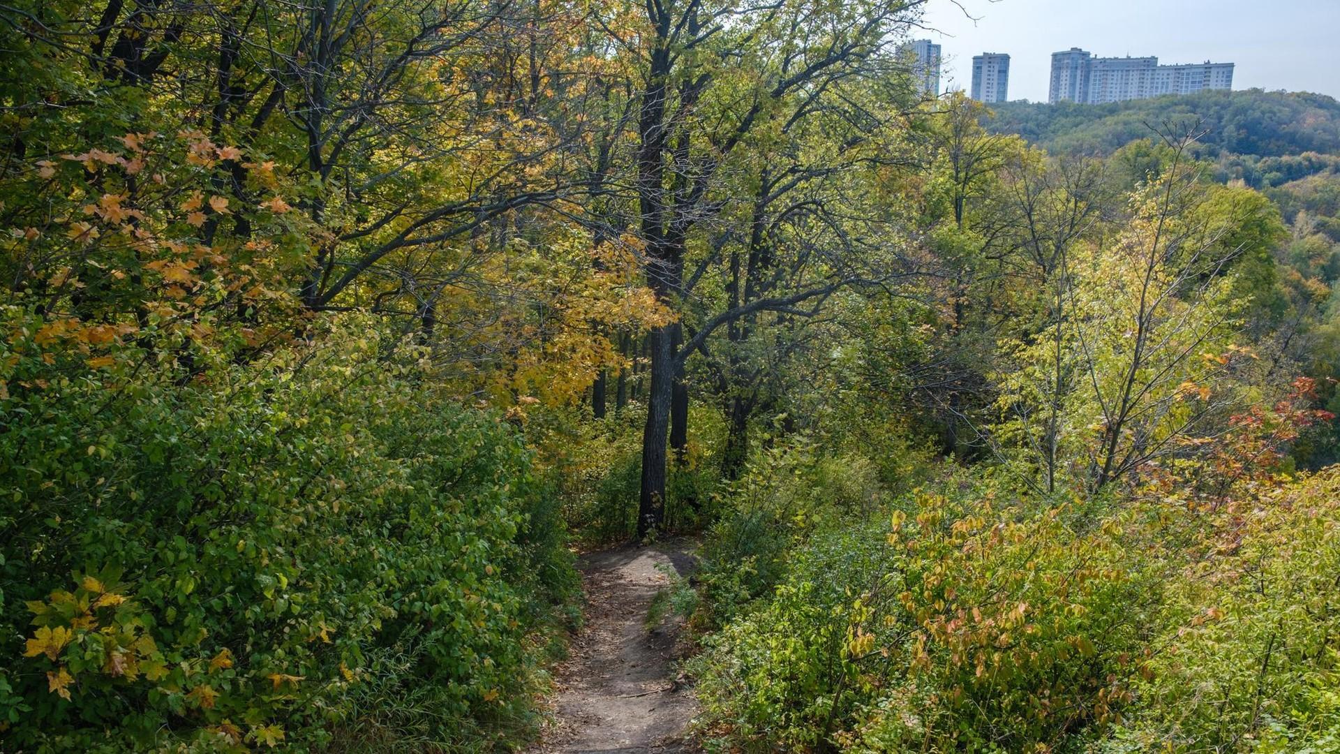 Камень висячий — люди бесячие: что не так с одним самых душевных мест Уфы