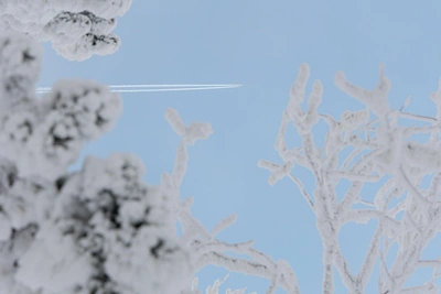 Новосибирский студент подрался на рейсе до Сахалина — ищут свидетелей