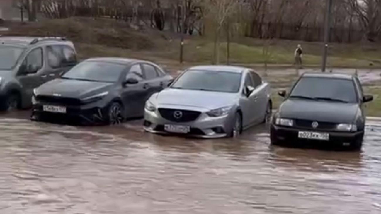 Все видеоновости Москвы, архив рубрики Лучшее видео дня - МСК1.ру