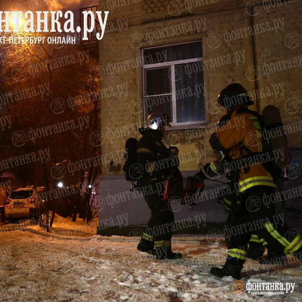 Источник: Дарья Драй / «Фонтанка.ру»