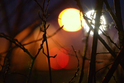 Апрельские магнитные бури: когда ждать и как подготовиться