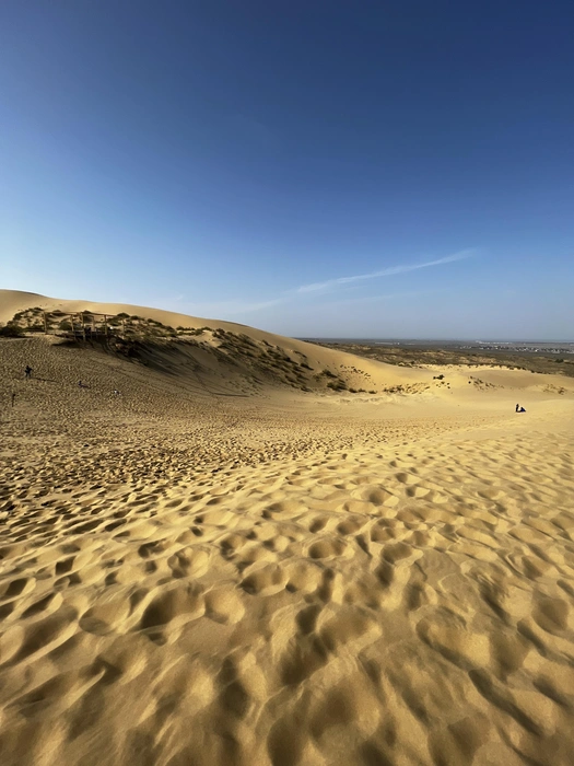 Бархан Сарыкум | Источник: Габриелла Захарова / 26.RU