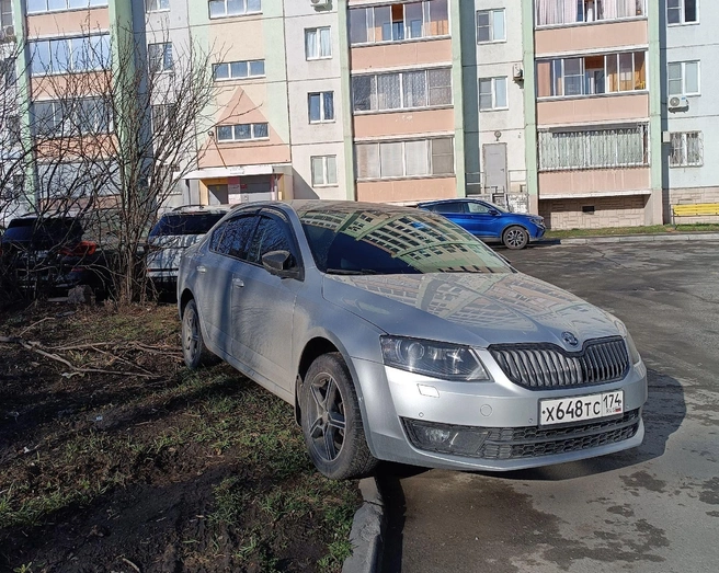 Что у таких в голове? Дай им аэродром, они и там на газоне встанут | Источник: читатель 74.RU