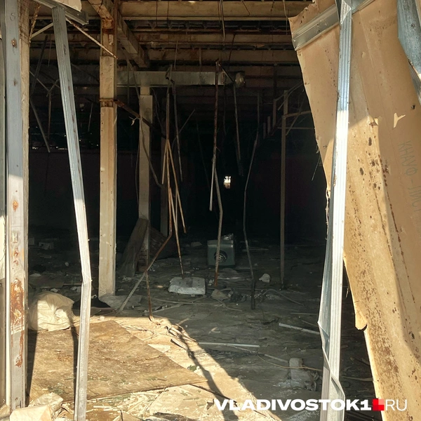 Источник: Елена Буйвол / VLADIVOSTOK1.RU