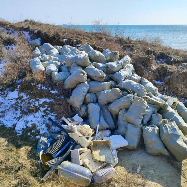 Источник: официальный телеграм-канал Комитета по природопользованию