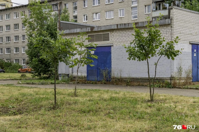 Небольшой парк. Совсем небольшой | Источник: Кирилл Поверинов / 76.RU