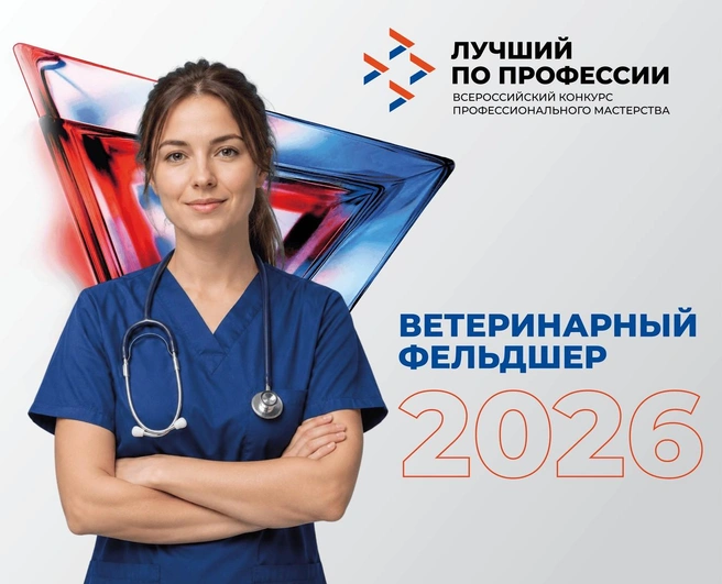 Каждый участник краевого конкурса получит диплом и памятный приз&nbsp;— как знак уважения к его труду и профессионализму | Источник: konkurs.trudvsem.ru