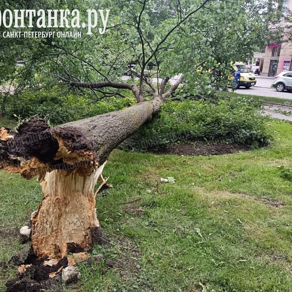 Источник: читатель «Фонтанки»