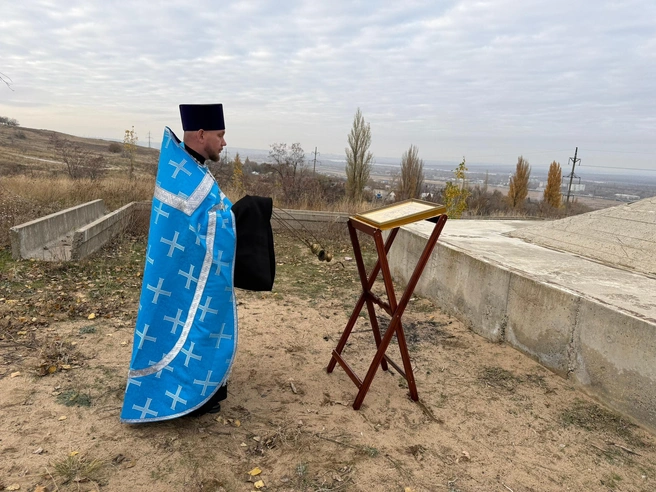 Источник: Евгений Караваев