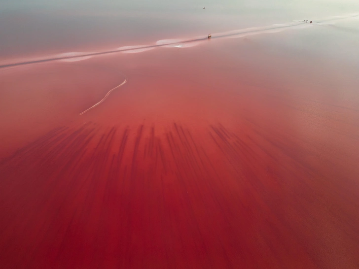 Бурлинское озеро, Алтай | Источник: Igor Boltivets/Shutterstock/Fotodom.ru