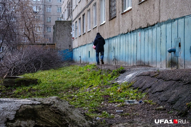 Что ищем, гражданин? | Источник: Булат Салихов / UFA1.RU