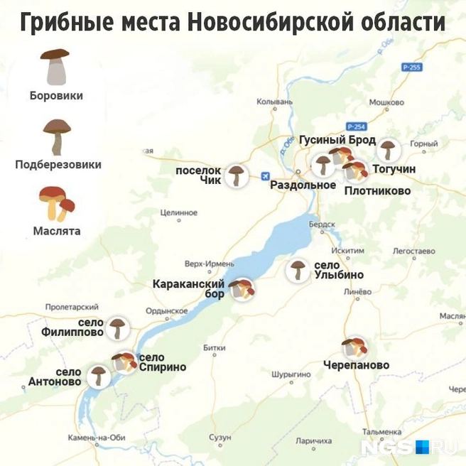 Сохраните себе полезную карту | Источник: Юрий Орлов / Городские медиа