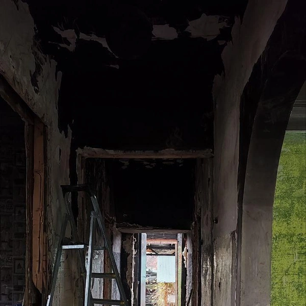 Источник: Татьяна Тельпис / Voronezh1.ru