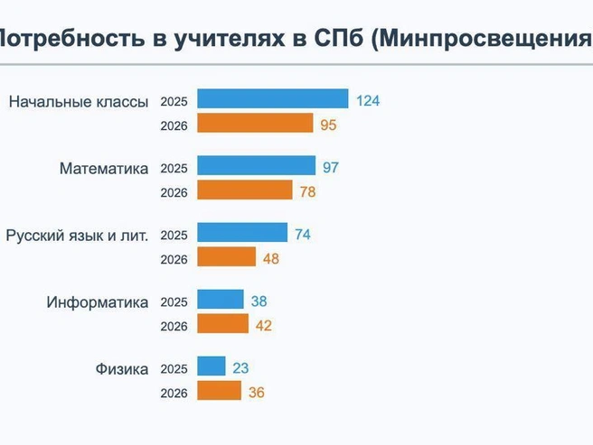 Источник: Елена Ваганова / FONTANKA.RU